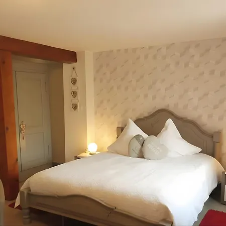 Ecrin De Proche Colmar Appartement